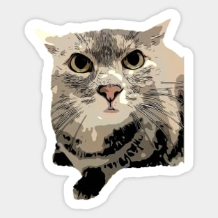 Mad Cat Sticker